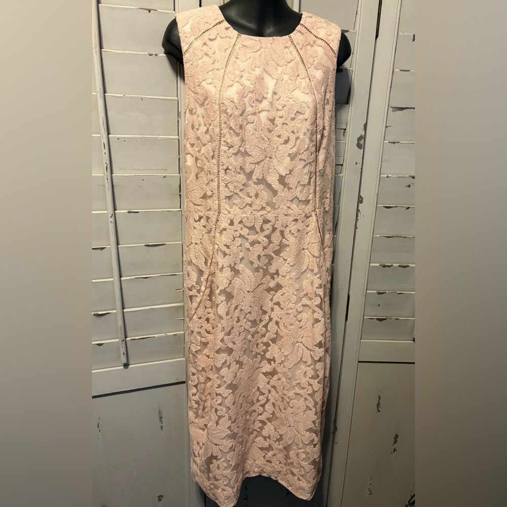 RACHEL Rachel Roy Blush Dress